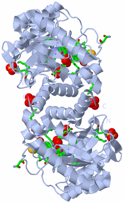 Image Biol. Unit 1 - sites