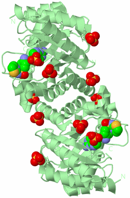 Image Biological Unit 2