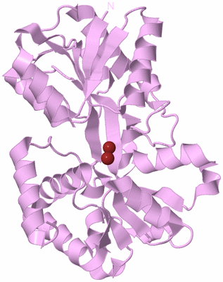 Image Biological Unit 5