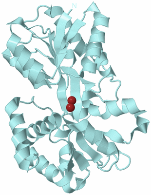 Image Biological Unit 6