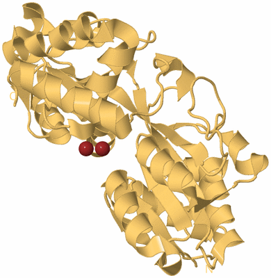 Image Biological Unit 7