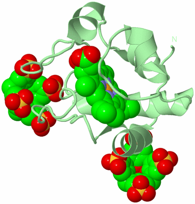 Image Biological Unit 2