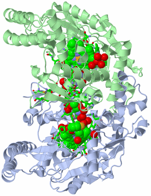 Image Asym./Biol. Unit - sites