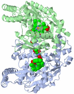 Image Asym./Biol. Unit