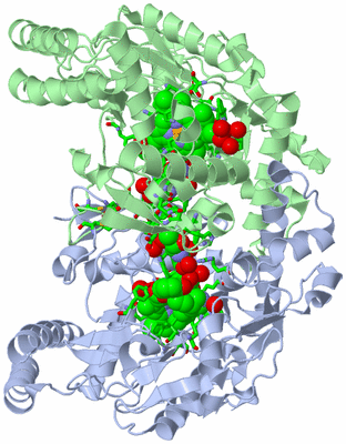 Image Asym./Biol. Unit - sites