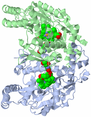 Image Asym./Biol. Unit