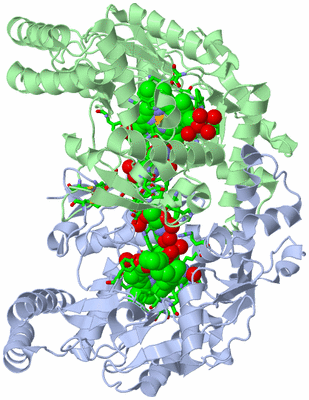 Image Asym./Biol. Unit - sites