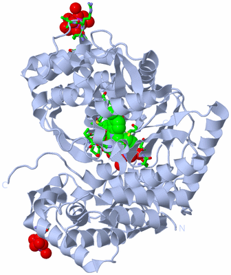 Image Biol. Unit 1 - sites