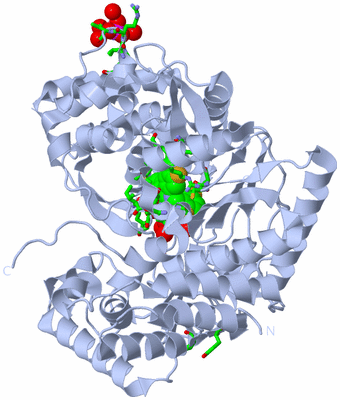 Image Biol. Unit 1 - sites