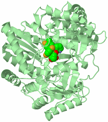 Image Biological Unit 2