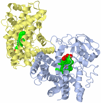 Image Biological Unit 5