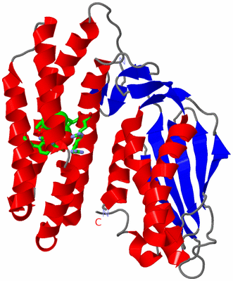 Image Asym. Unit - sites