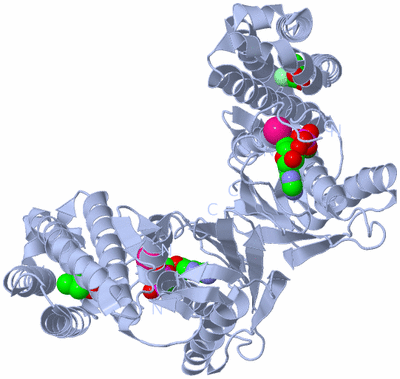 Image Biological Unit 1