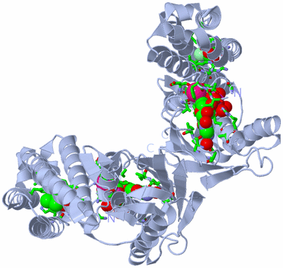 Image Biol. Unit 1 - sites