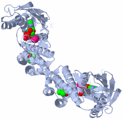 Image Biological Unit 2