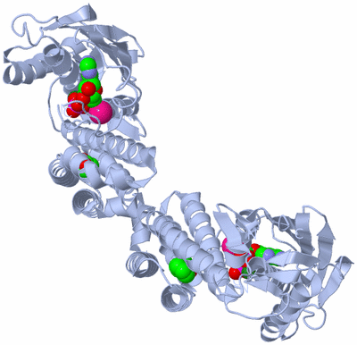 Image Biological Unit 1