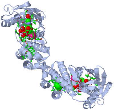 Image Biol. Unit 1 - sites