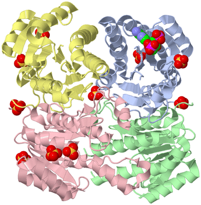 Image Biological Unit 1