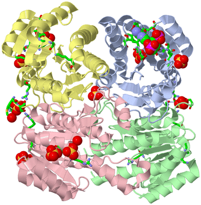 Image Biol. Unit 1 - sites