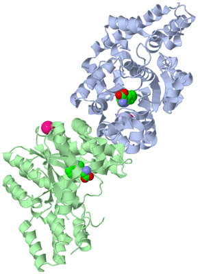 Image Asym./Biol. Unit