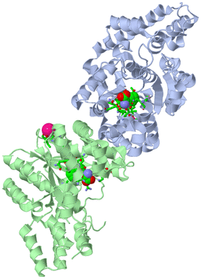 Image Asym./Biol. Unit - sites