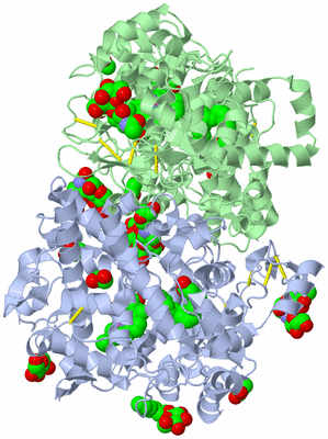 Image Asym./Biol. Unit