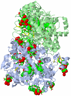 Image Asym./Biol. Unit - sites