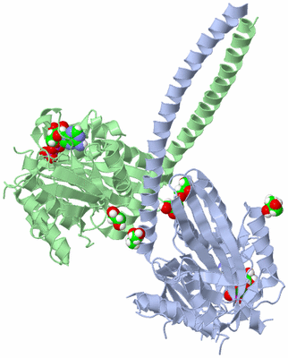 Image Asym./Biol. Unit