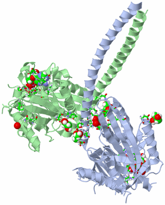 Image Asym./Biol. Unit - sites