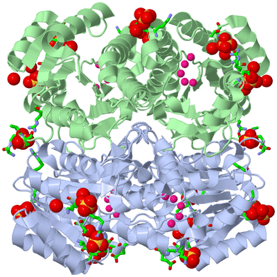 Image Biol. Unit 1 - sites