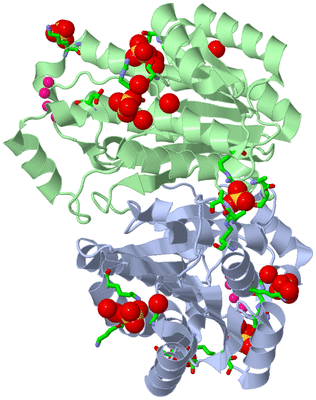 Image Asym. Unit - sites