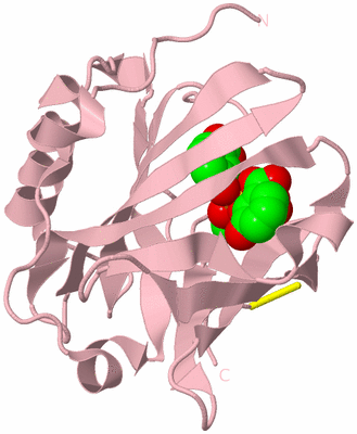 Image Biological Unit 3