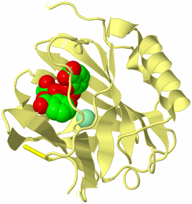 Image Biological Unit 4