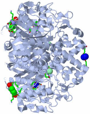 Image Biol. Unit 1 - sites