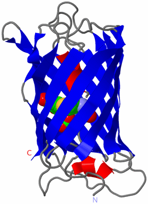 Image Asym./Biol. Unit