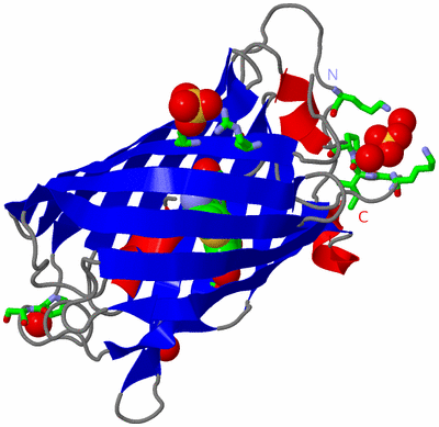 Image Asym./Biol. Unit - sites