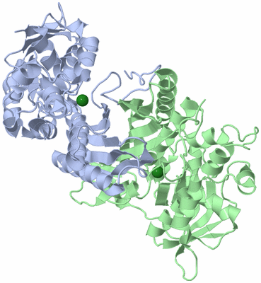 Image Asym./Biol. Unit