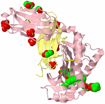 Image Biological Unit 2