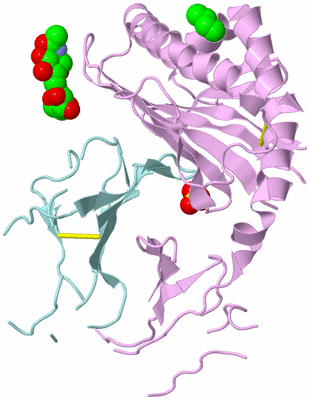 Image Biological Unit 3