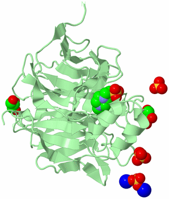 Image Biological Unit 2