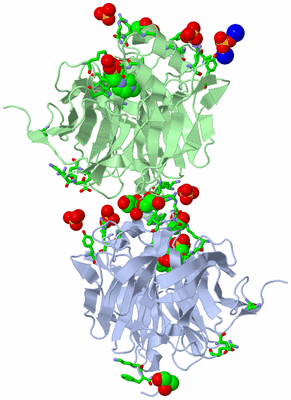 Image Asym. Unit - sites