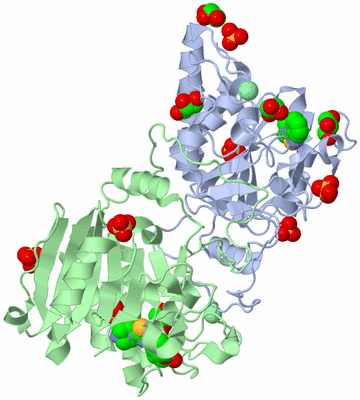 Image Asym./Biol. Unit