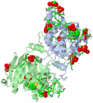 Image Asym./Biol. Unit - sites