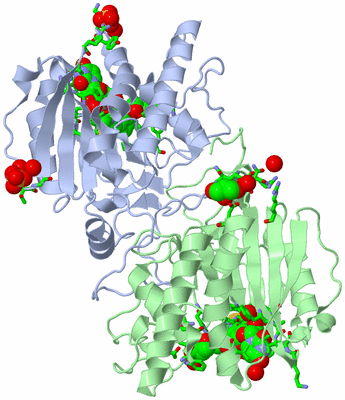 Image Biol. Unit 1 - sites