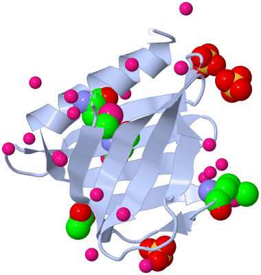 Image Biological Unit 1