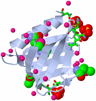 Image Biol. Unit 1 - sites