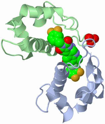 Image Biological Unit 1