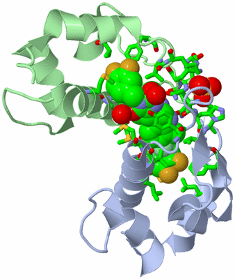 Image Biol. Unit 1 - sites