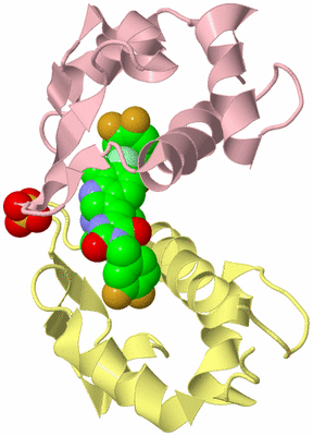 Image Biological Unit 2