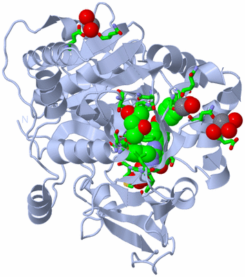 Image Biol. Unit 1 - sites